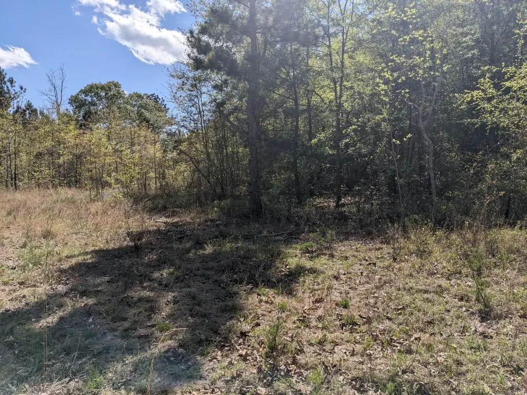 4781 Deans Bridge Road Blythe GA 30805