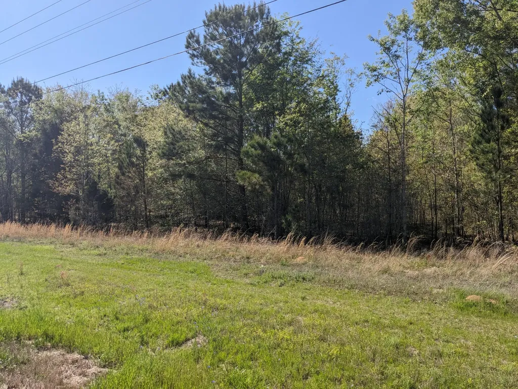 4781 Deans Bridge Road Blythe GA 30805