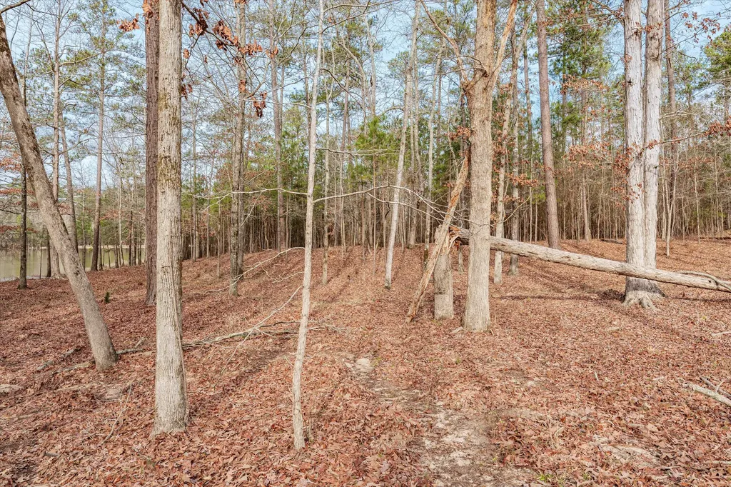 07 Savannah Bay Drive Lincolnton GA 30817