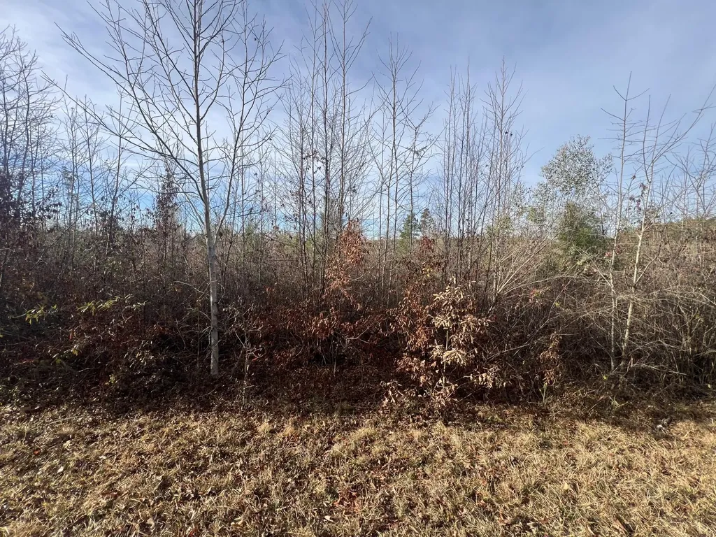 LOT5 Hephzibah Church Road Lincolnton GA 30817