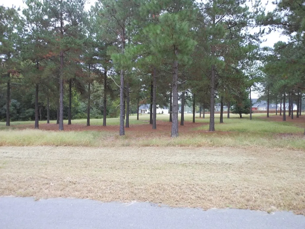 0 Shady Oak Lane Waynesboro GA 30830
