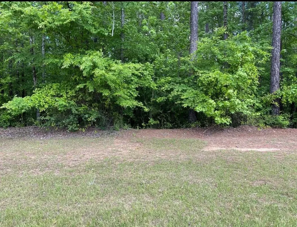 Lot N-17 Captain Johnsons Drive North Augusta SC