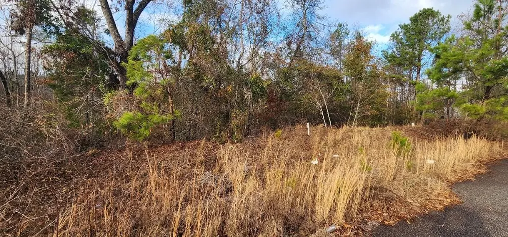 2664 New Hope Circle Hephzibah GA 30815