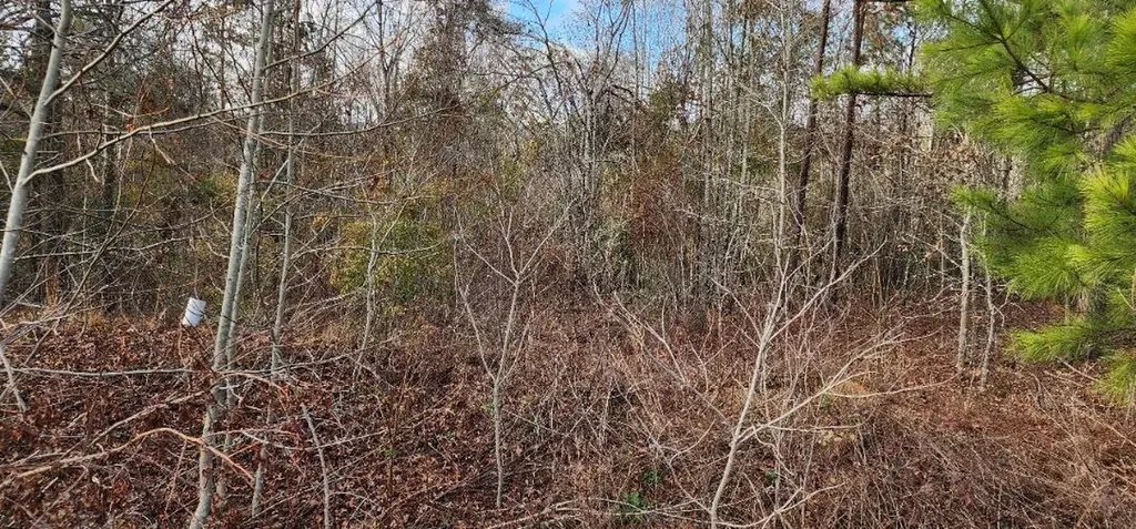 2664 New Hope Circle Hephzibah GA 30815
