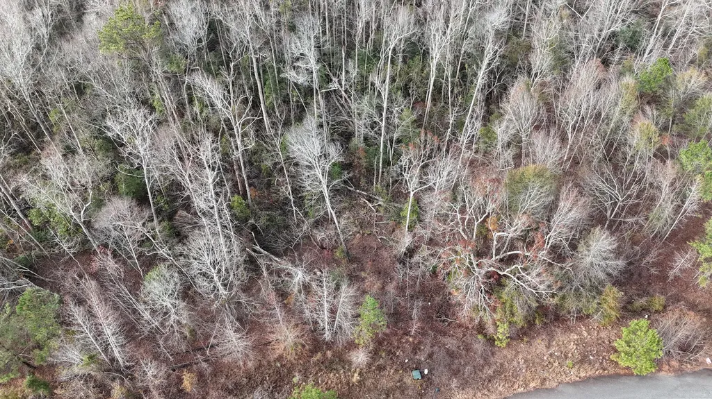 2664 New Hope Circle Hephzibah GA 30815