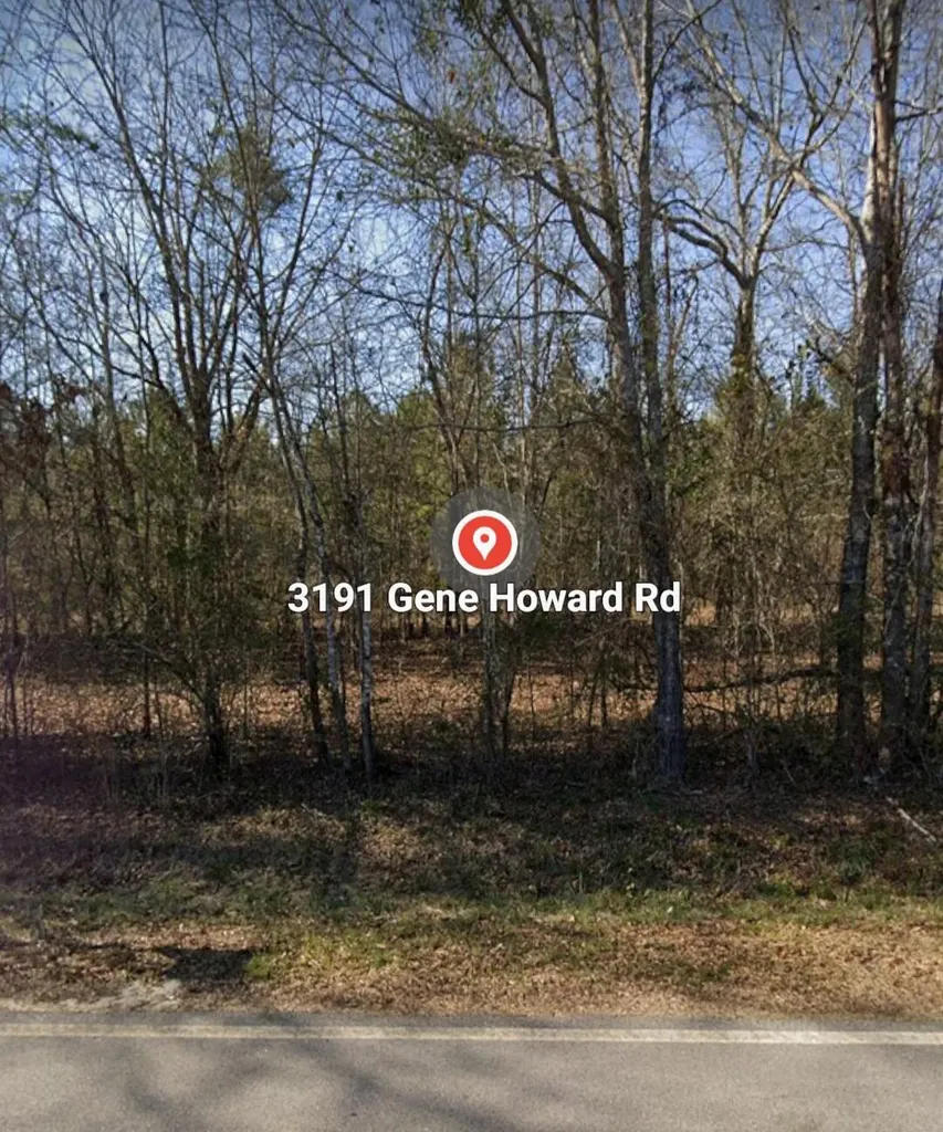 3191 Gene Howard Road Stapleton GA 30823
