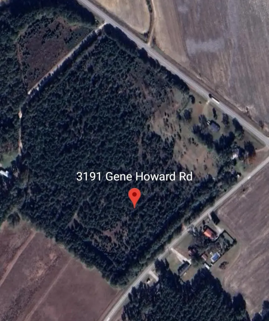3191 Gene Howard Road Stapleton GA 30823
