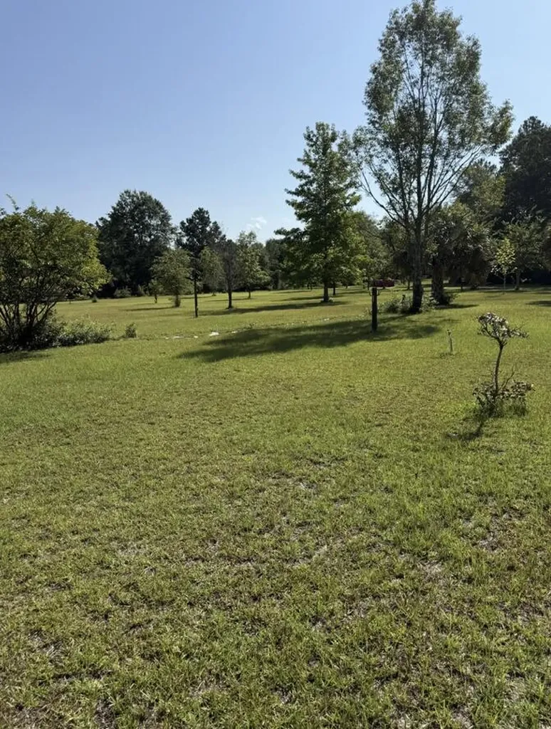 5920 Ga-23 Waynesboro GA 30830