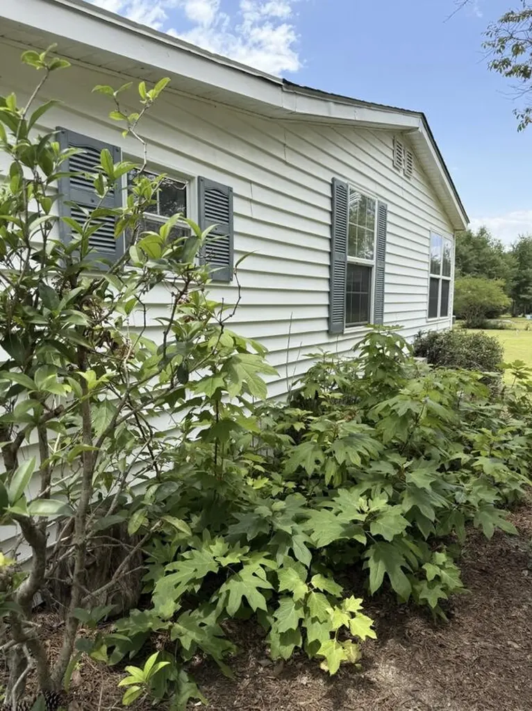 5920 Ga-23 Waynesboro GA 30830