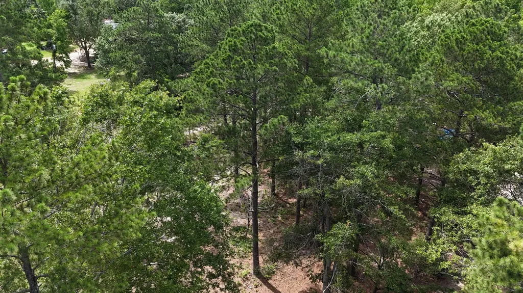 2039 Mcdade Farm Road Hephzibah GA 30815