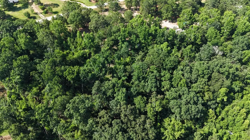 2039 Mcdade Farm Road Hephzibah GA 30815