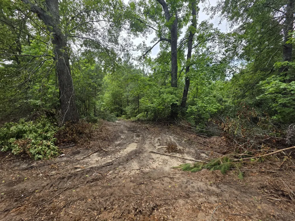 2039 Mcdade Farm Road Hephzibah GA 30815