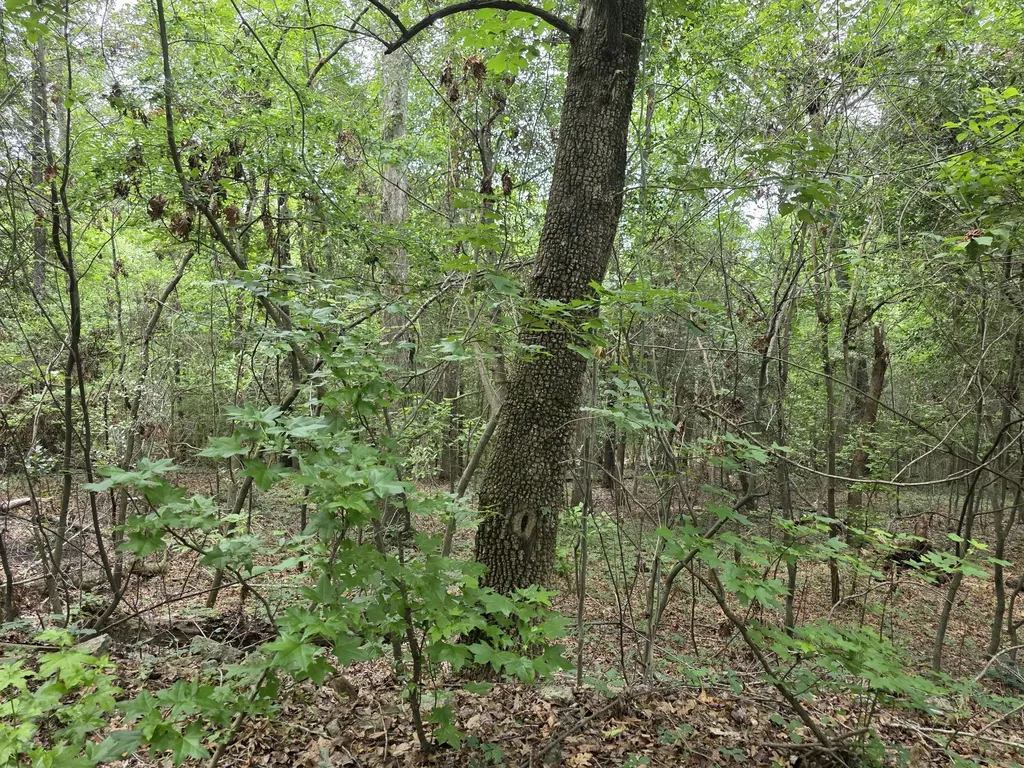 2039 Mcdade Farm Road Hephzibah GA 30815
