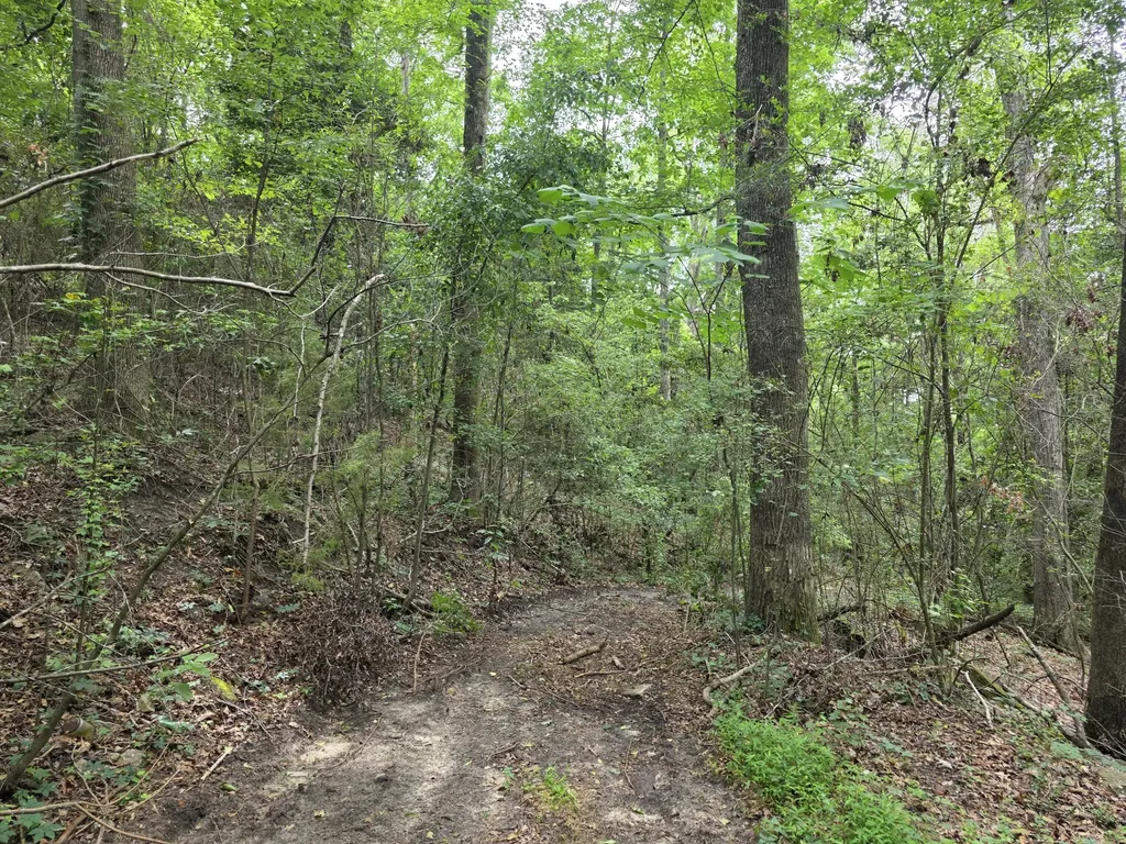 2039 Mcdade Farm Road Hephzibah GA 30815