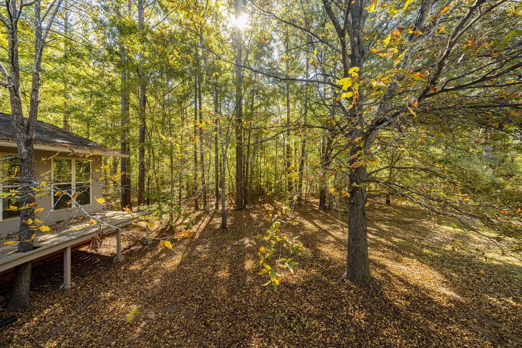 6768 Cobbham Road Appling GA 30802
