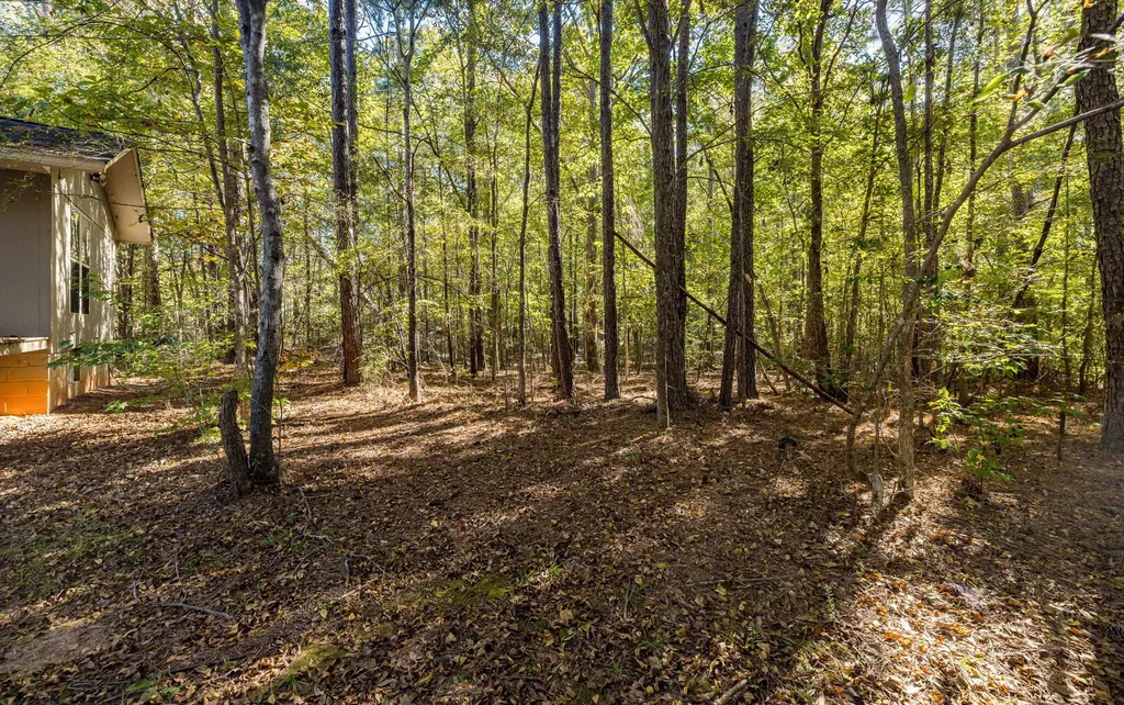 6768 Cobbham Road Appling GA 30802