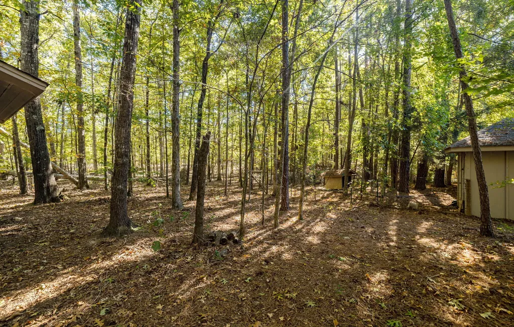 6768 Cobbham Road Appling GA 30802