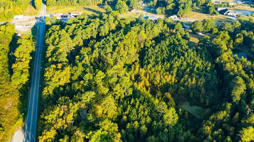 696 Cobbham Road Thomson GA 30824