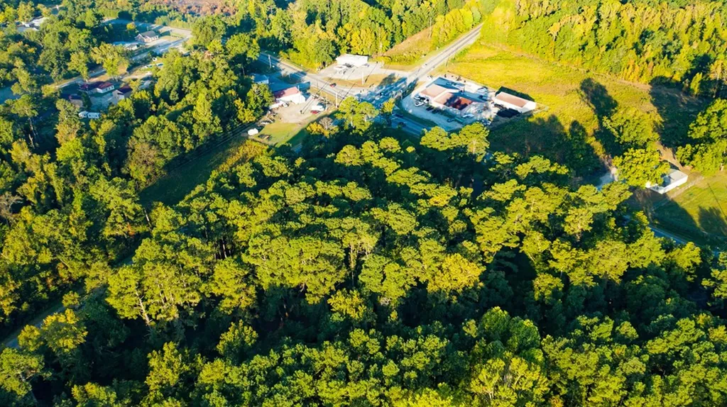 696 Cobbham Road Thomson GA 30824