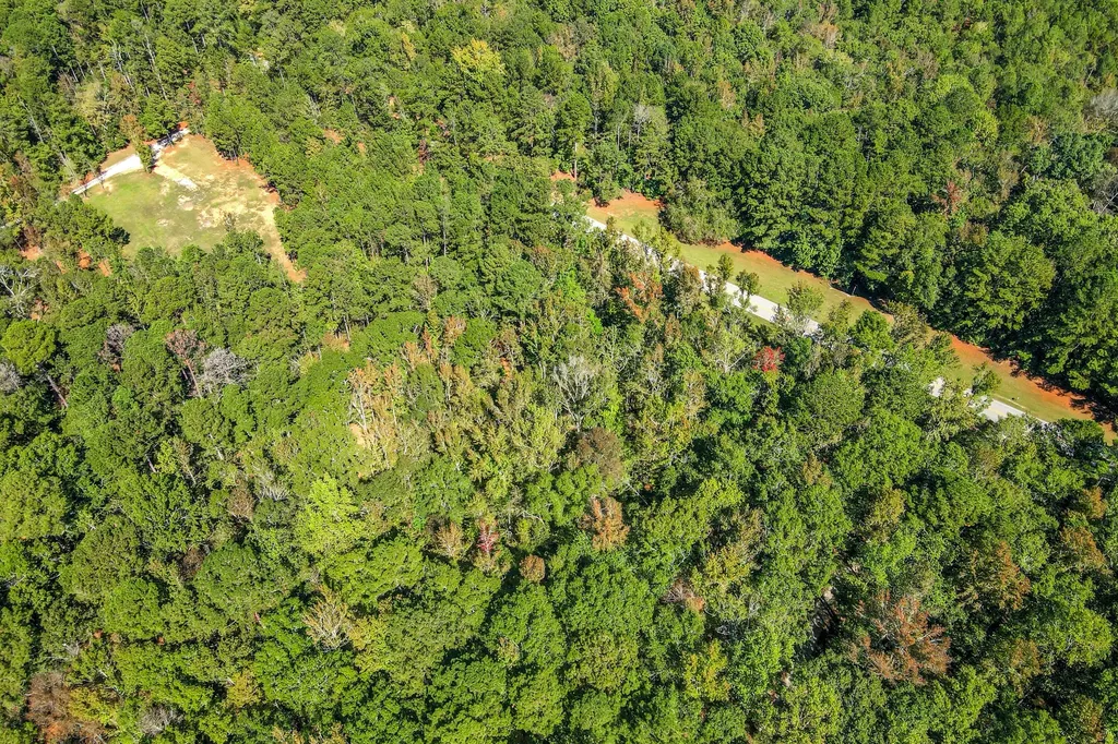 3256 Ray Owens Road Appling GA 30802