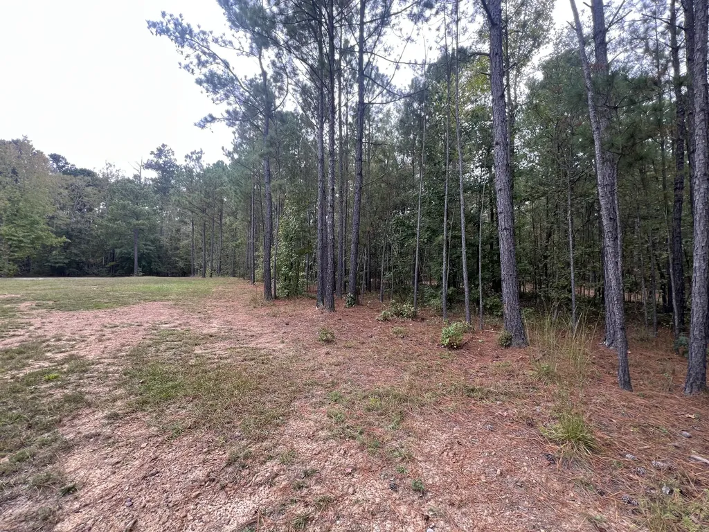 3256 Ray Owens Road Appling GA 30802