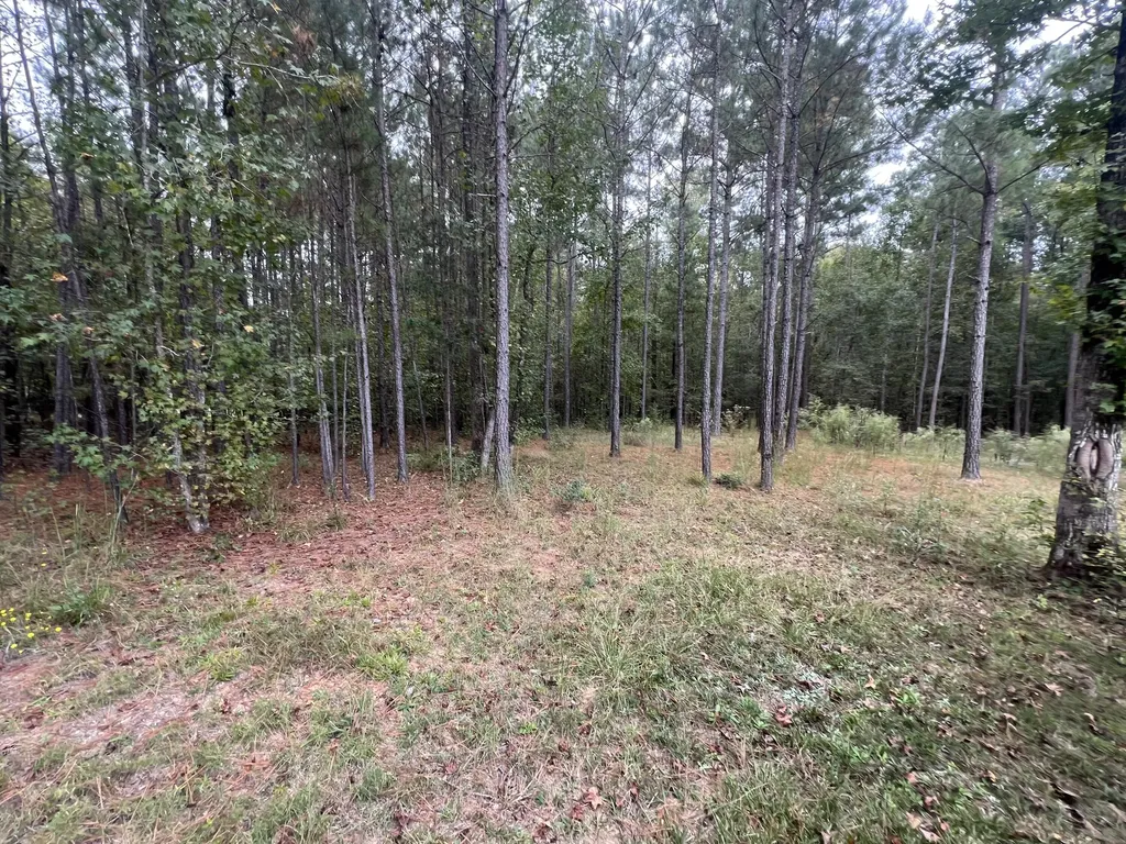 3256 Ray Owens Road Appling GA 30802