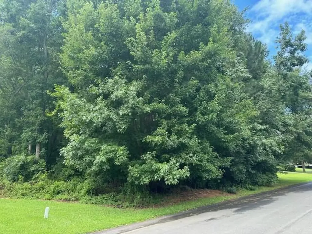 300 E Martintown Road North Augusta SC 29841