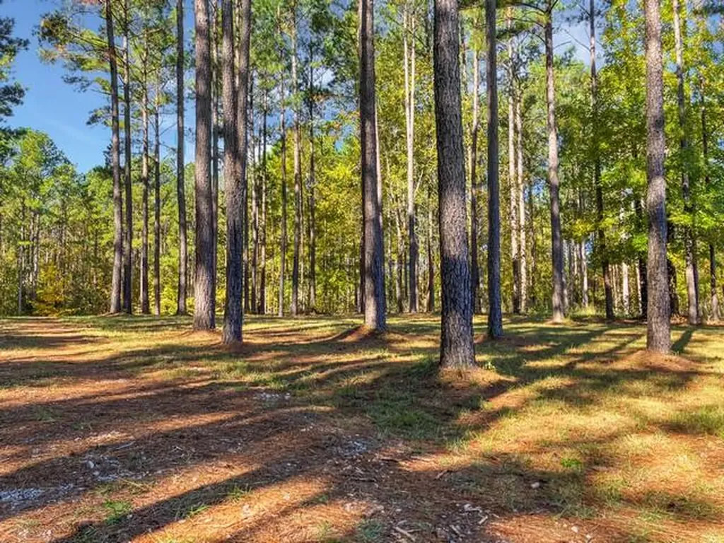 18 S Pointe Cove Lincolnton GA 30817