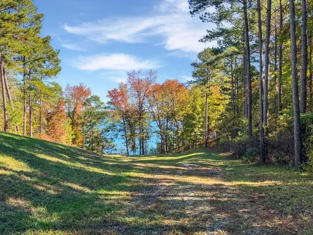 18 S Pointe Cove Lincolnton GA 30817