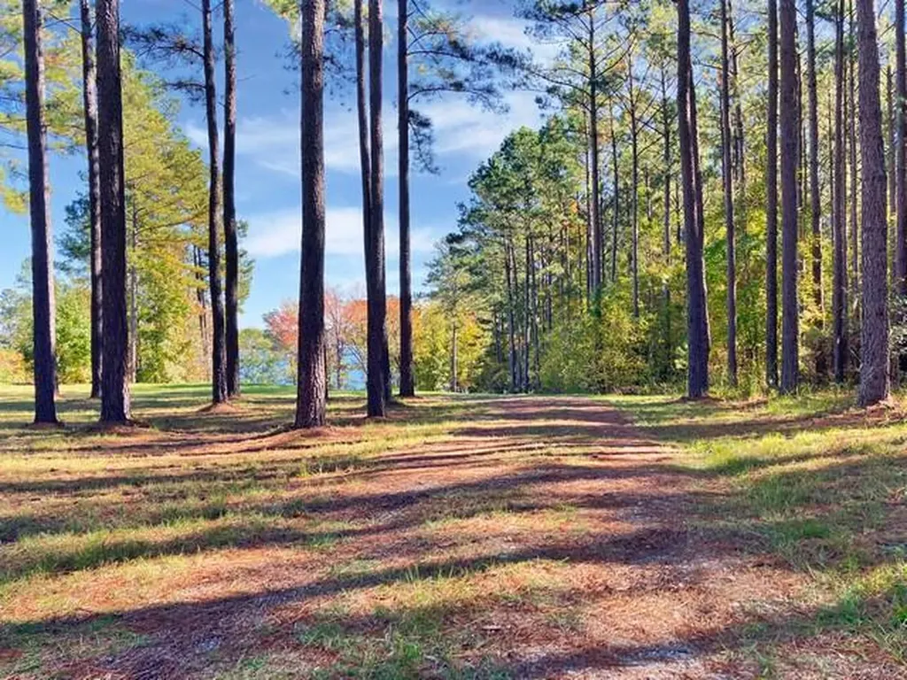 18 S Pointe Cove Lincolnton GA 30817