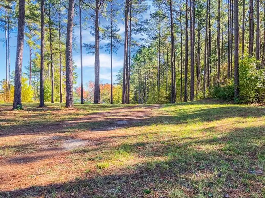 18 S Pointe Cove Lincolnton GA 30817