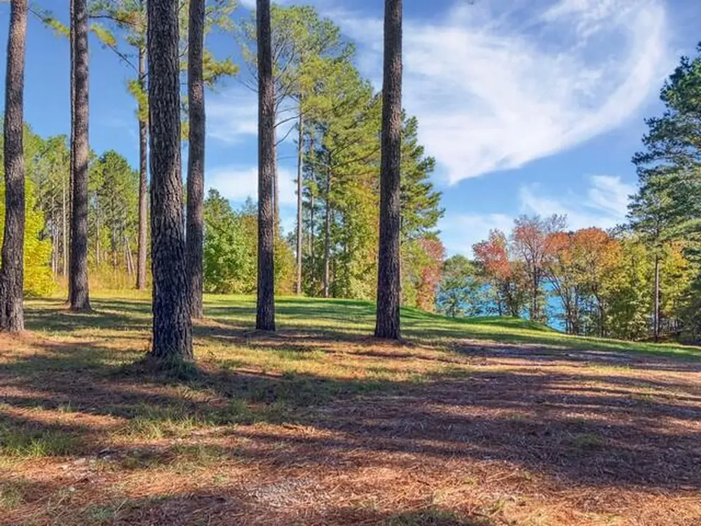 18 S Pointe Cove Lincolnton GA 30817