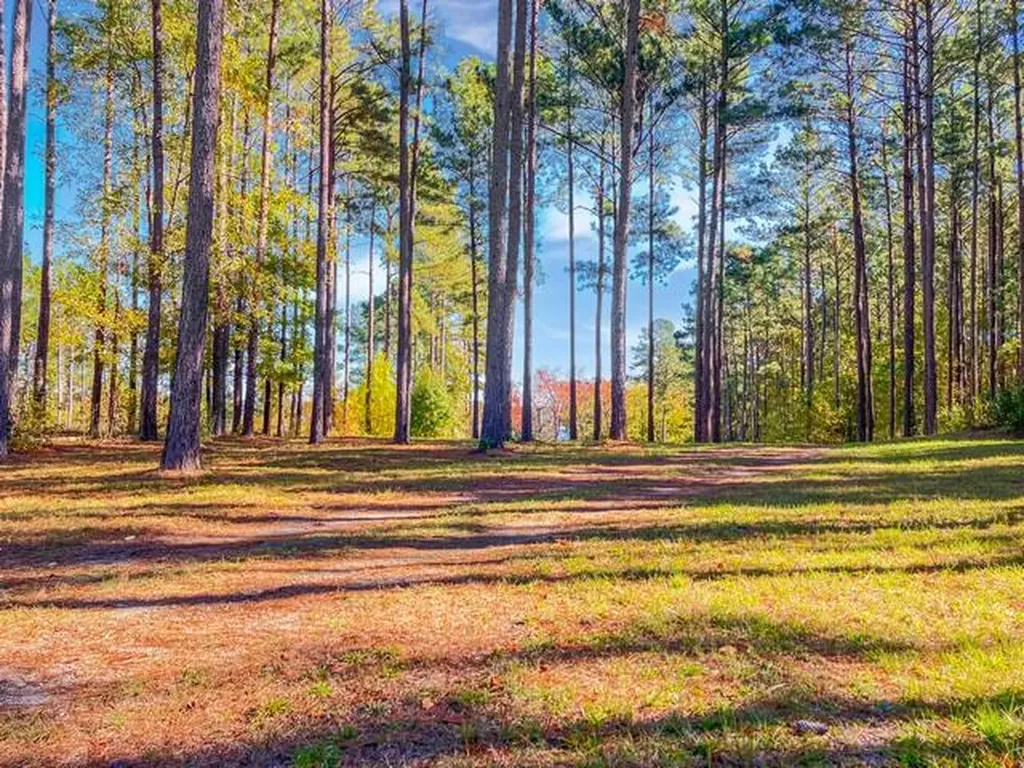 18 S Pointe Cove Lincolnton GA 30817