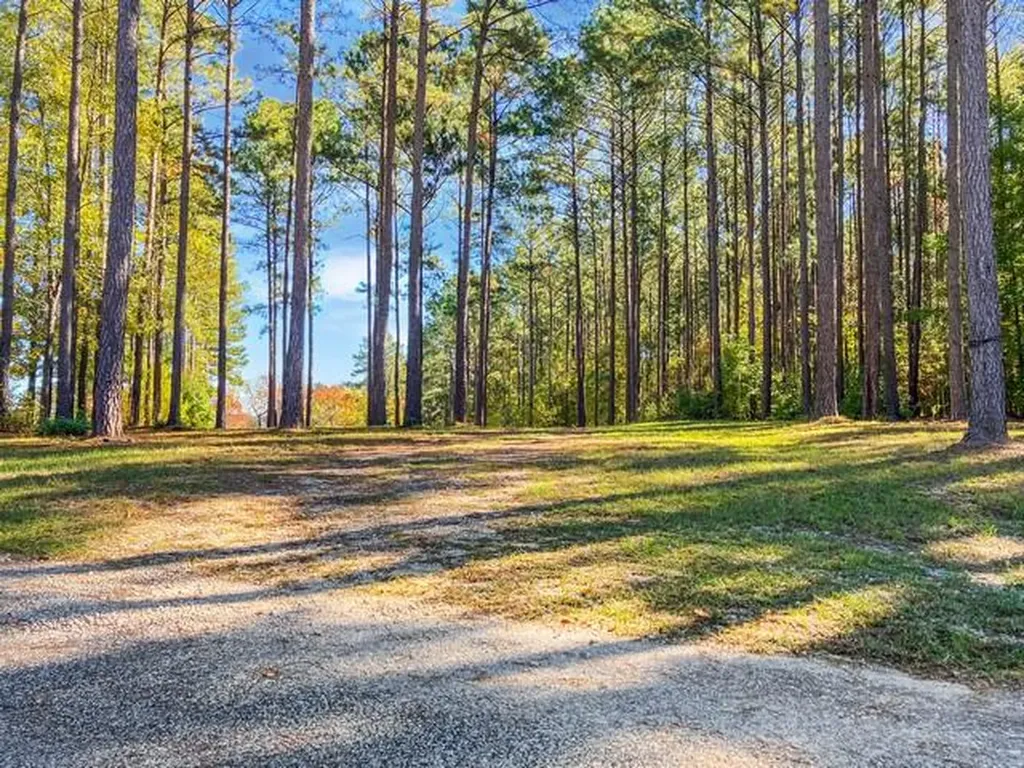 18 S Pointe Cove Lincolnton GA 30817