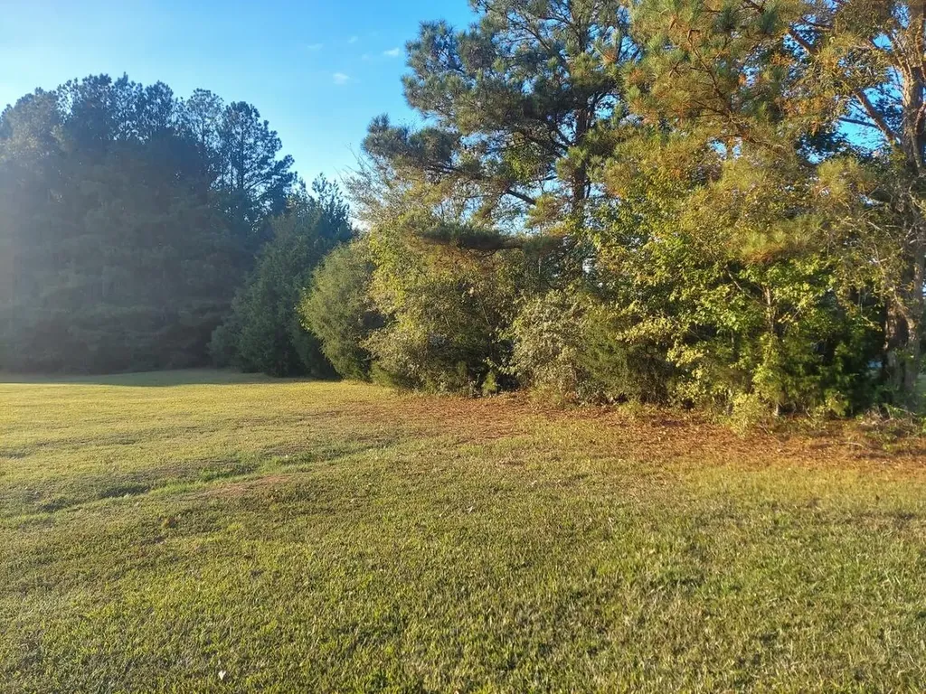 0 Clary Cut Road Appling GA 30802