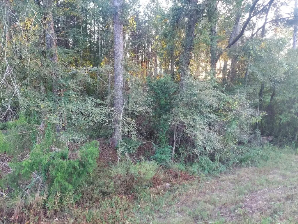 0 Clary Cut Road Appling GA 30802