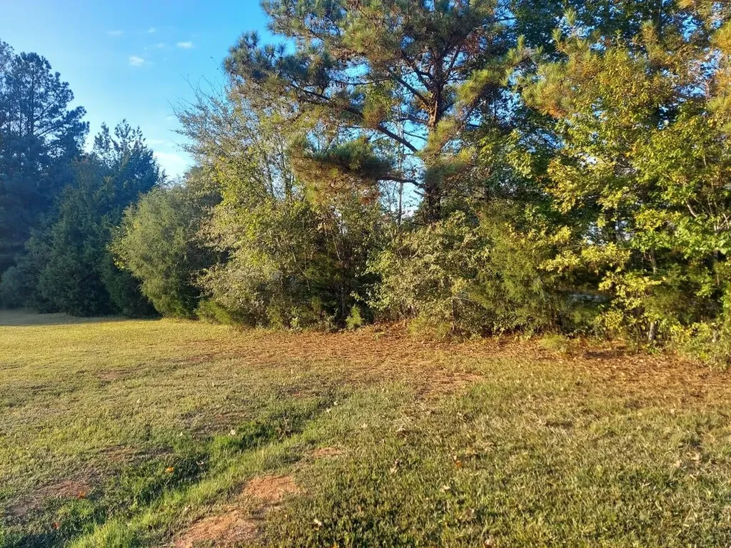 0 Clary Cut Road Appling GA 30802