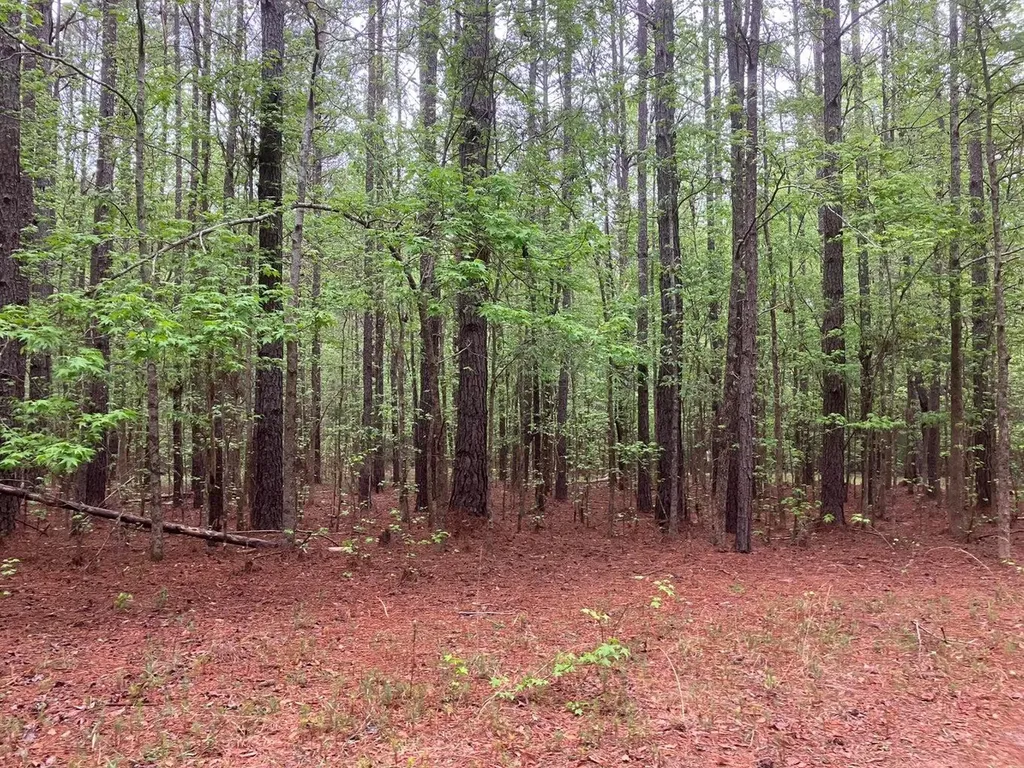 935 Neptune Trail Appling GA 30802