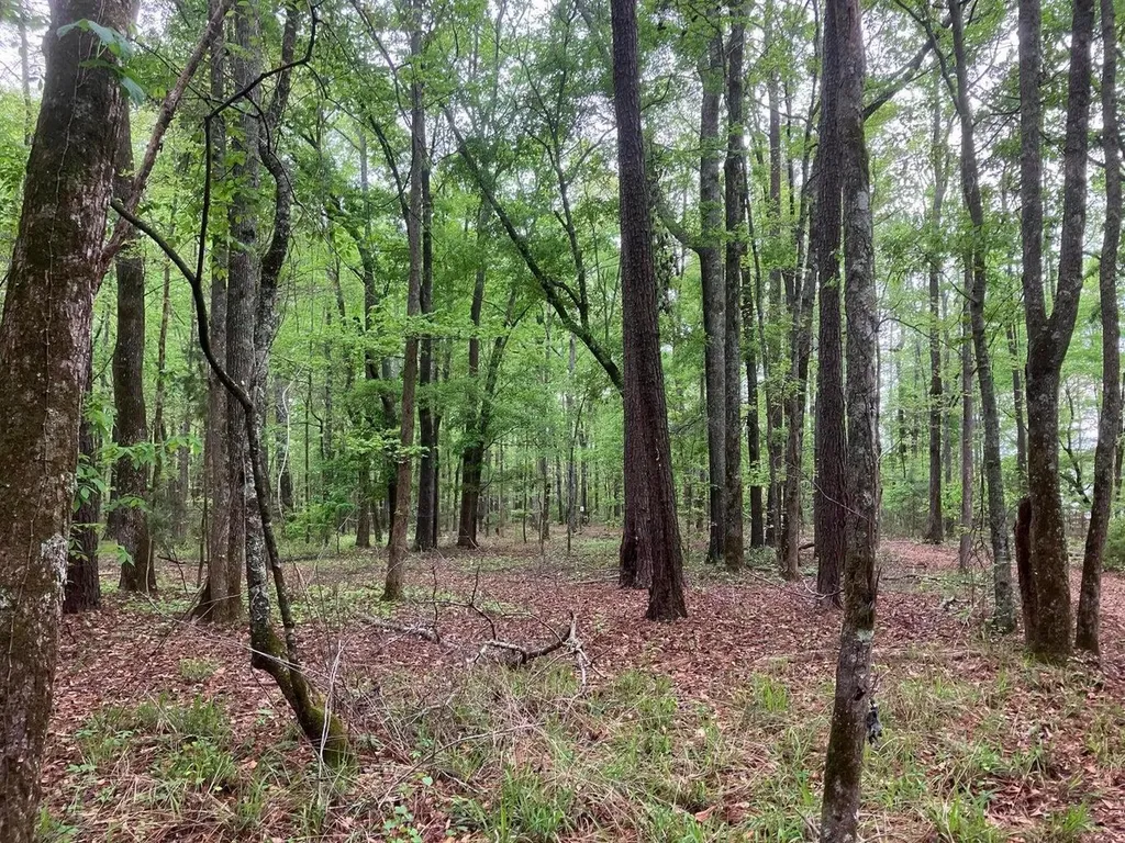 935 Neptune Trail Appling GA 30802