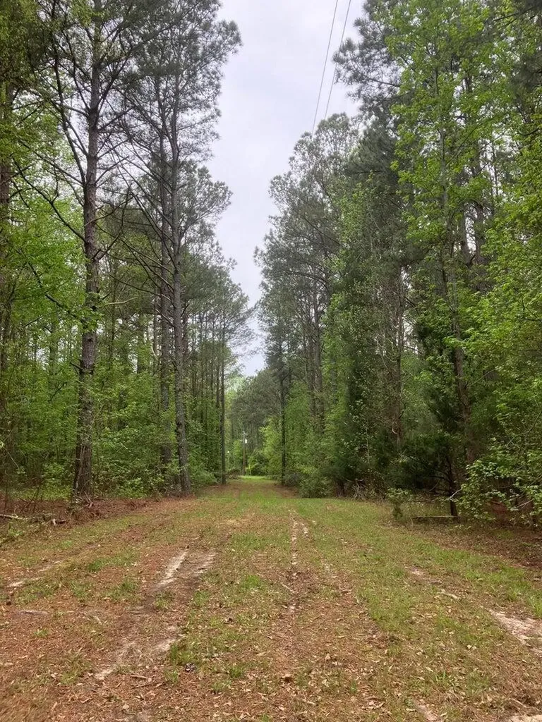 935 Neptune Trail Appling GA 30802