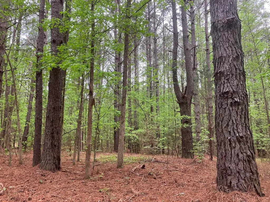 935 Neptune Trail Appling GA 30802