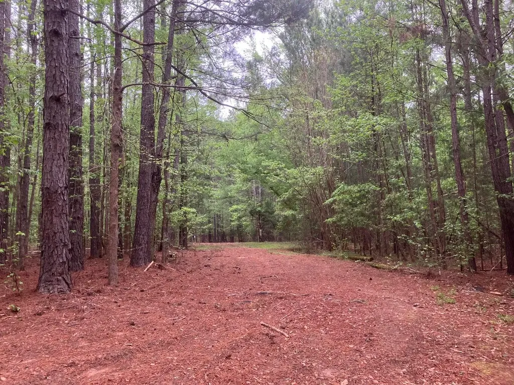 935 Neptune Trail Appling GA 30802