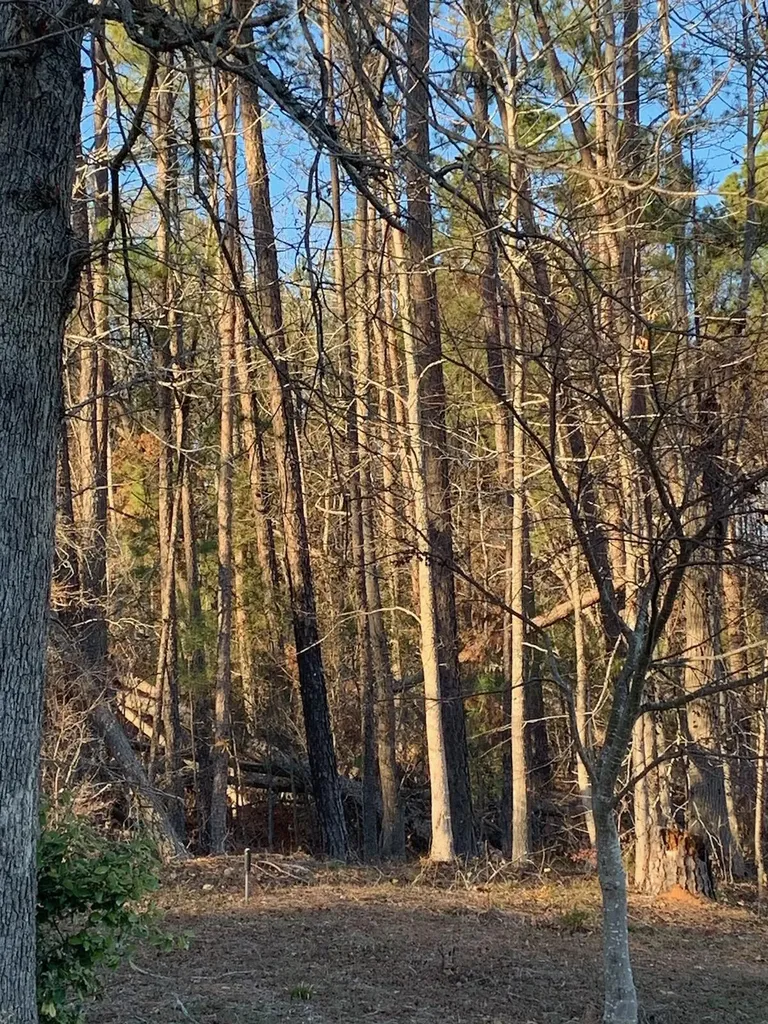 Tract F Martintown Road North Augusta SC 29860
