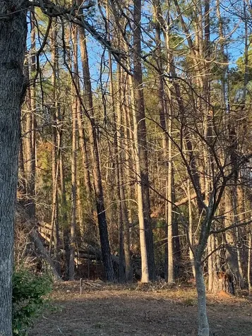 Tract F Martintown Road North Augusta SC 29860