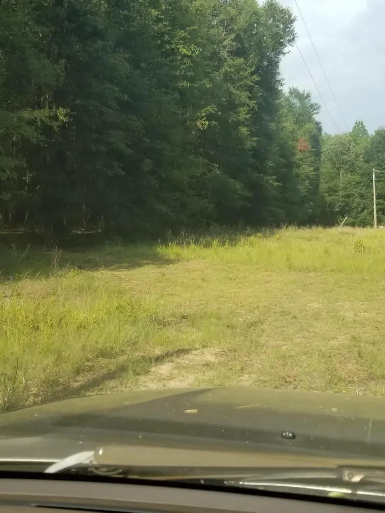 0 River Road Waynesboro GA 30830