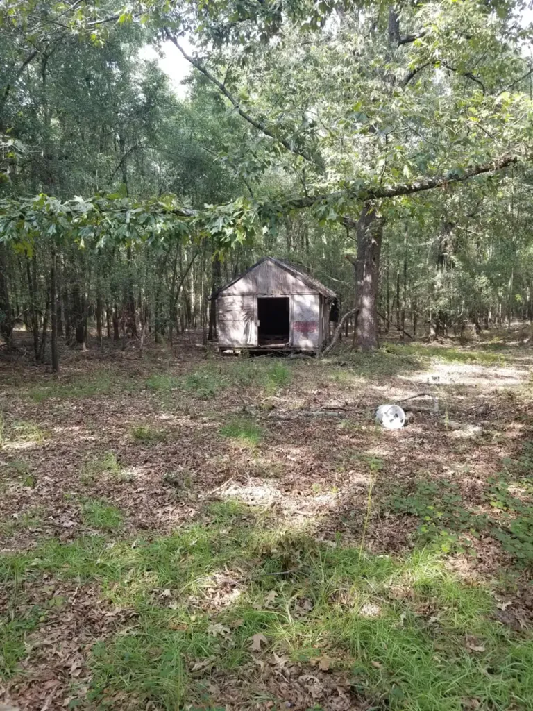 0 River Road Waynesboro GA 30830