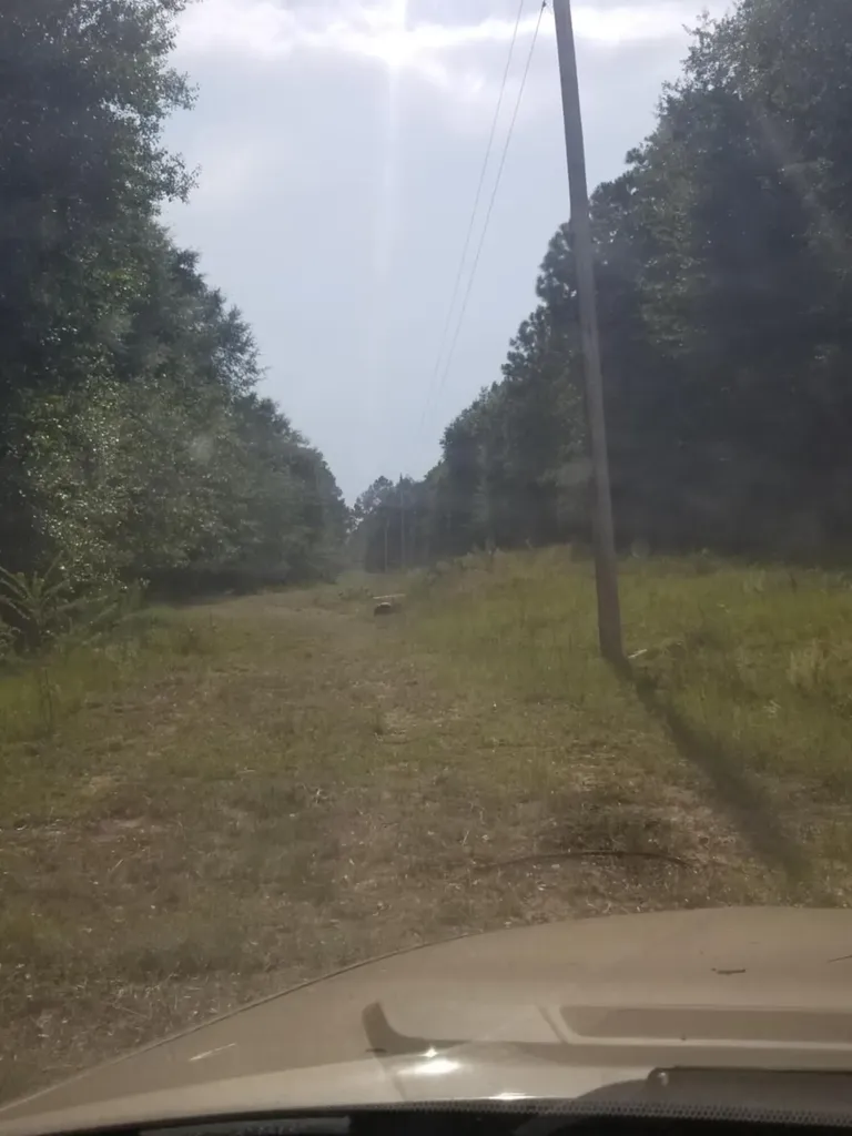 0 River Road Waynesboro GA 30830