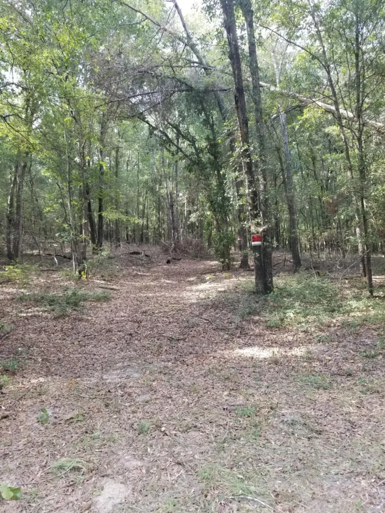 0 River Road Waynesboro GA 30830