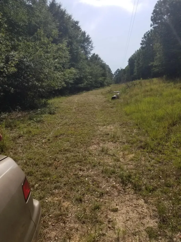 0 River Road Waynesboro GA 30830