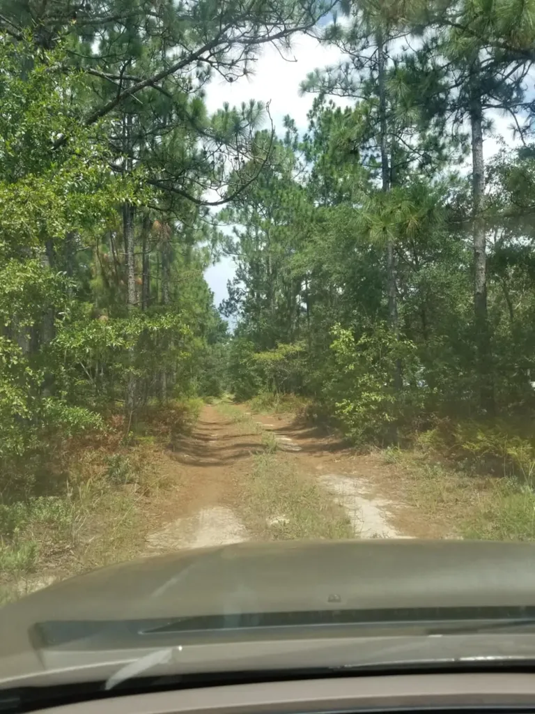 0 River Road Waynesboro GA 30830